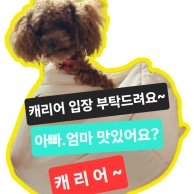 그린타이 (선릉) 매장 사진 8