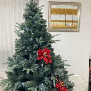 3번째 스튜디오 사진