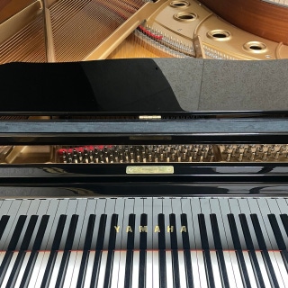 5번째 스튜디오 사진