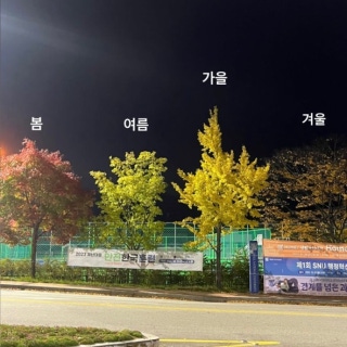 3번째 스튜디오 사진