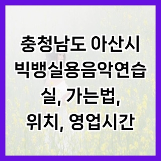 2번째 스튜디오 사진