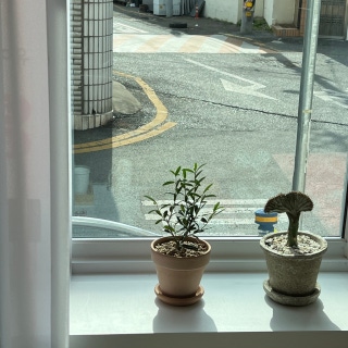 2번째 스튜디오 사진