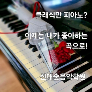 5번째 스튜디오 사진