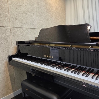 4번째 스튜디오 사진