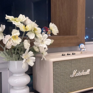 3번째 스튜디오 사진