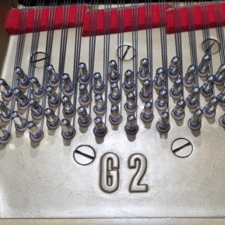 2번째 스튜디오 사진