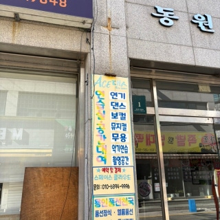 2번째 스튜디오 사진