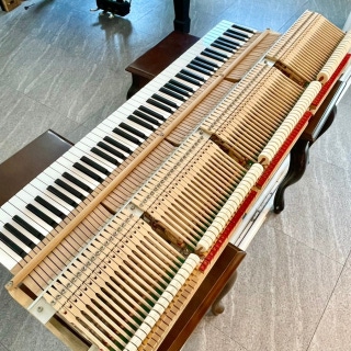 2번째 스튜디오 사진