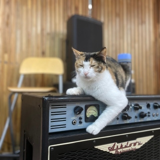 4번째 스튜디오 사진