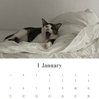 3번째 스튜디오 사진