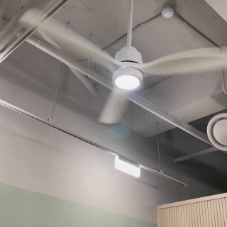 3번째 스튜디오 사진