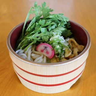 Udon noodles