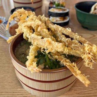 Burdock tempura udon