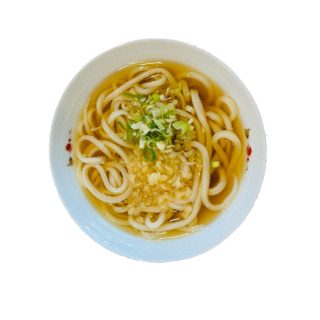 Kake Udon noodles
