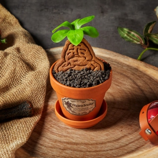 Mandrake cake and themed drinks