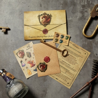 Adult Wizard Admission Ticket