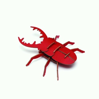 사슴벌레 3D 곤충 입체퍼즐, 곤충모형