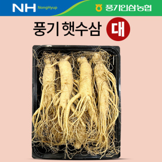 [풍기인삼농협] 풍기햇수삼 (대) 750g 7-8뿌리