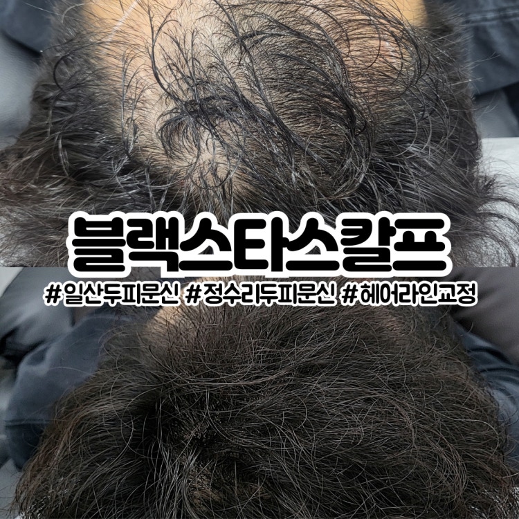 관련 이미지2