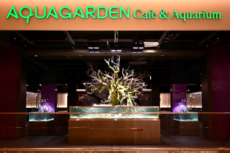 서민갑부 수족관 카페