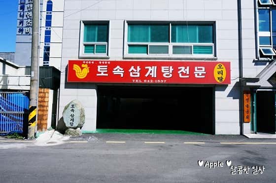 토속삼계탕