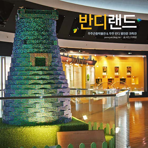 네이버 플레이스 무주반디랜드 : 네이버