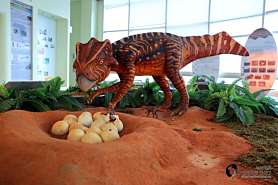 공룡알화석산지