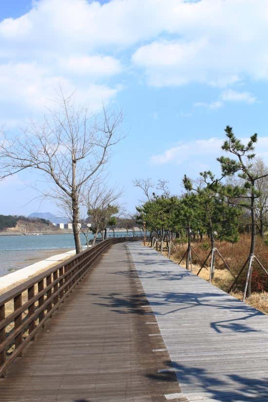 배알도수변공원