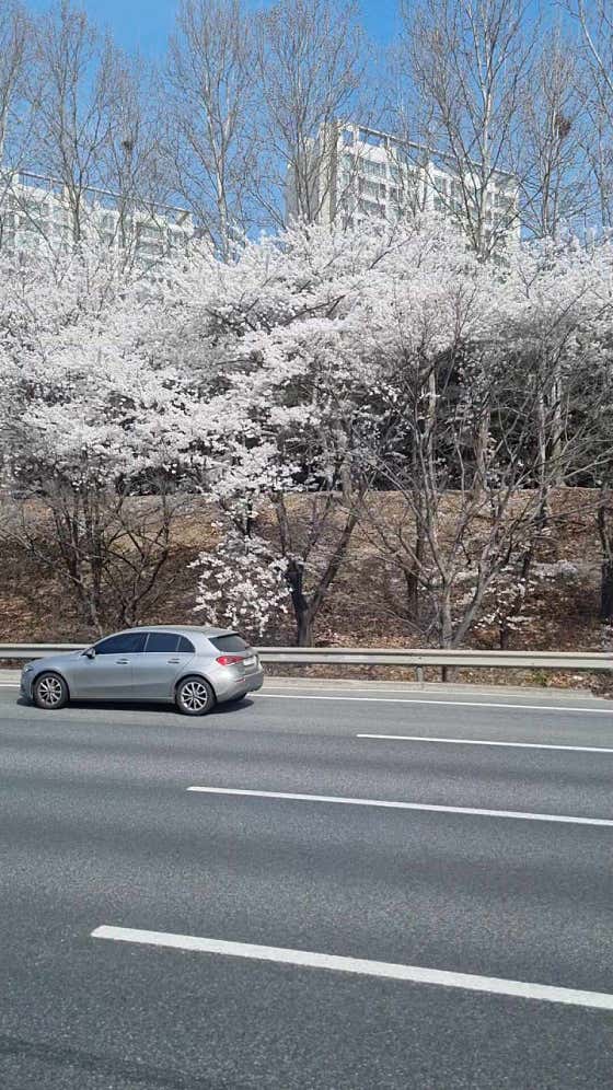 네이버 플레이스 스타벅스 한남동R점 : 네이버