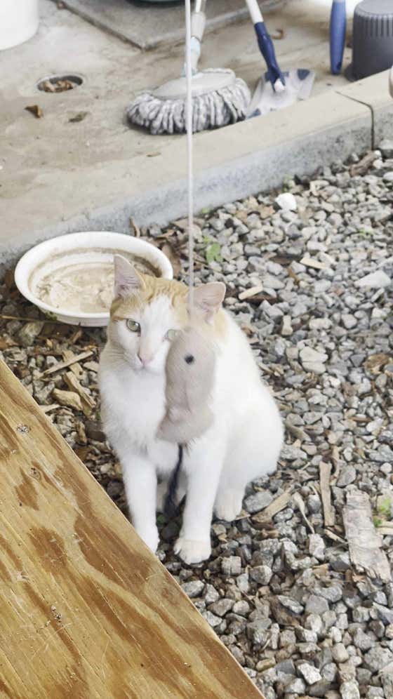 네이버 플레이스 본커피힐 : 네이버