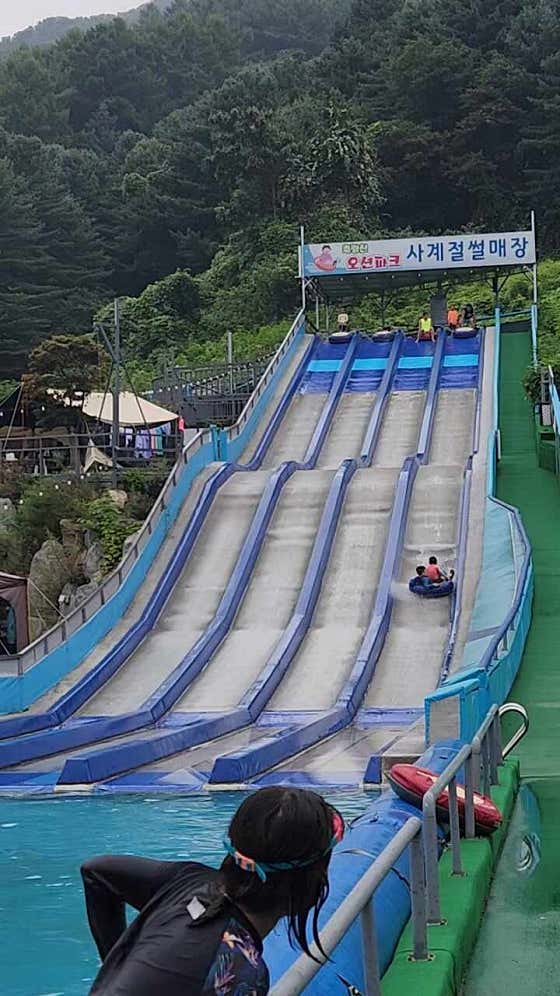 네이버 플레이스 축령산 오션파크 : 네이버