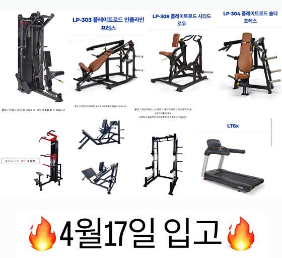 웨일짐 이미지