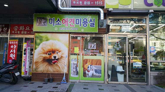 미소애견미용실