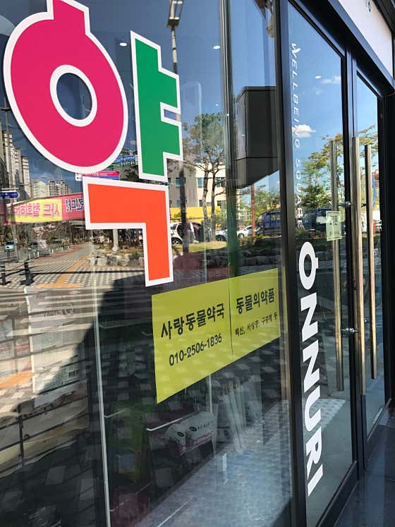 사랑동물약국