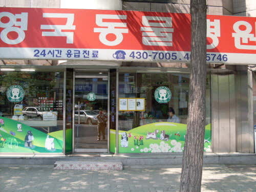 영국동물병원 대표이미지