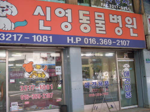 신영동물병원 대표이미지