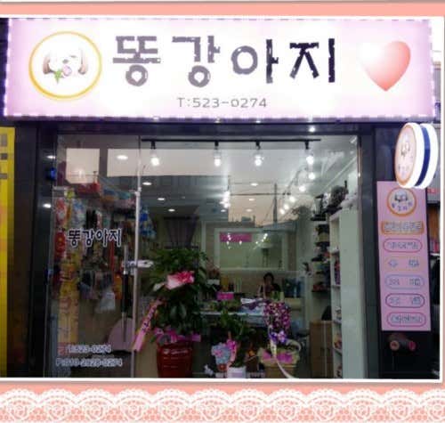 똥강아지