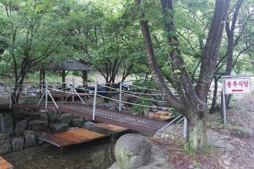 용추식당 · 네이버 지도·플레이스 2