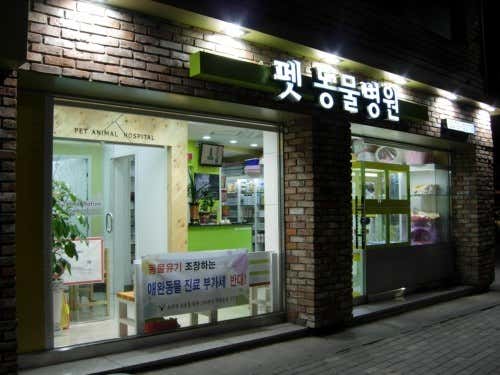 펫 동물병원 대표이미지