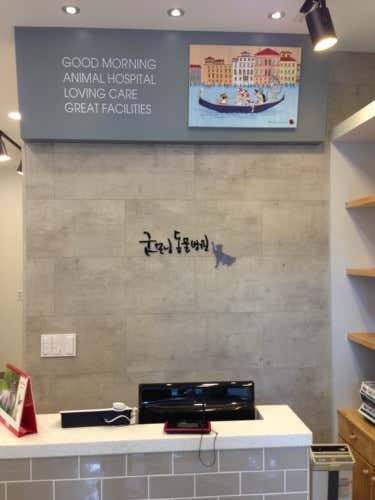 굿모닝동물병원 대표이미지