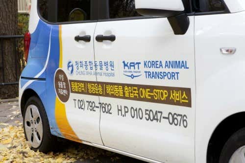 청화동물병원 & KAT 대표이미지