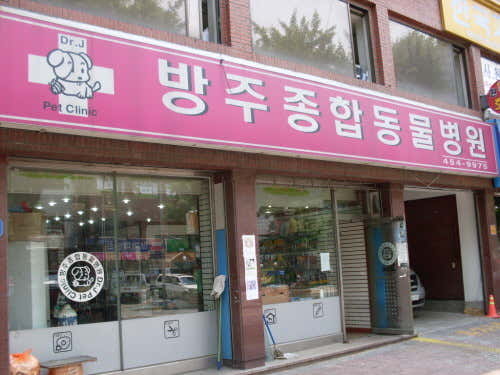 방주종합동물병원 대표이미지