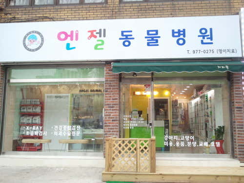 엔젤동물병원 대표이미지