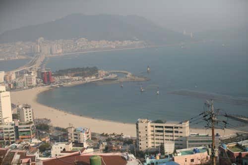 카페해인 · 네이버 지도·플레이스 5