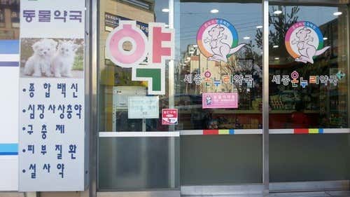 세종온누리약국