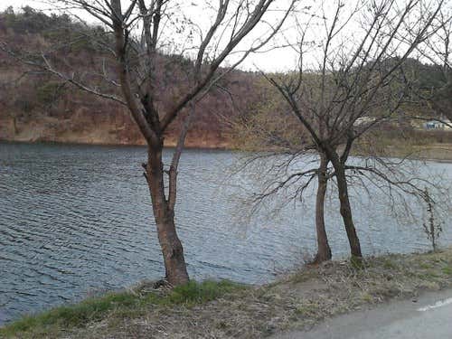 명성사철영양탕 · 네이버 지도·플레이스 3