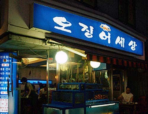 오징어세상 본점 사진 2
