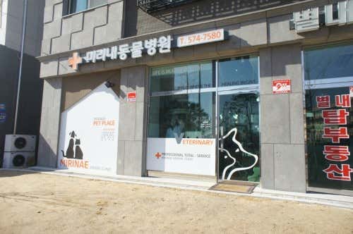 미리내동물병원 대표이미지