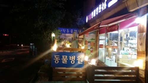가람동물병원(경기 고양)