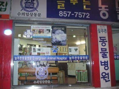 늘푸른동물병원 대표이미지